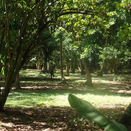 Hosteria Real Ξενοδοχείο Santa Fe de Antioquia Εξωτερικό φωτογραφία