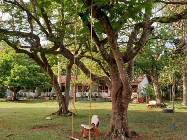 Hosteria Real Ξενοδοχείο Santa Fe de Antioquia Εξωτερικό φωτογραφία